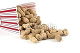 Wallmonkeys Peel and Stick Wall Decals - Peanuts - 18