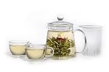 Teaposy Garden Gift Set