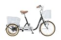 FEELFUL(フィールフル) 前20インチ後16インチ三輪車[スイング固定機能付き/大容量カゴ/ダイナモライト/チェーンガード標準装備] ブラック TR-20F