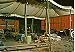 Circus Backyard Scene Ringling Museum