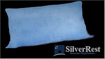 Visco 4 Kids Blue Standard Pillow By SilverRest