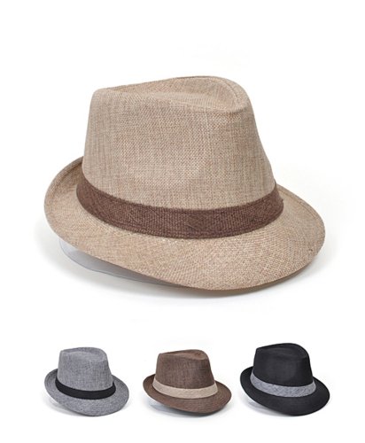 The Viceroy Fedora Hat