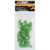 Zoo Med Laboratories SZMBU21 Natural Bushy Amazon Phyllo, Medium