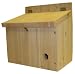 BUMBLE BEE HIVE - BOX - NESTER - CEDAR