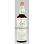 Bach Essence Violet 20 Milliliters