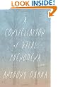 A Constellation of Vital Phenomena: A Novel