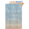 A Constellation of Vital Phenomena: A Novel