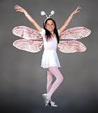 Child's Dragonfly Wings