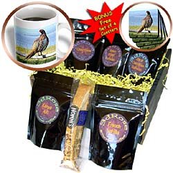 Birds - Pheasant - Coffee Gift Baskets - Coffee Gift Basket by 3dRose LLC
