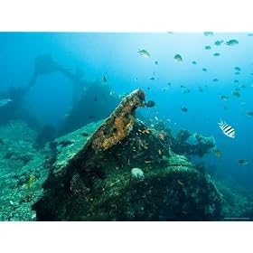 Diving on Wreck of Liberty, An American Cargo Ship Sunk in 1942, Bali, Indonesia Photographic Poster Print