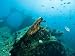 Diving on Wreck of Liberty, An American Cargo Ship Sunk in 1942, Bali, Indonesia Photographic Poster Print by Tim Laman, 16x12