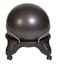 Health Mark BT20000 Swiss Ball Chair