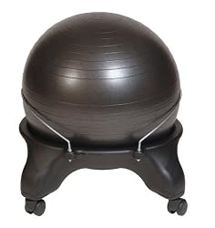 Health Mark BT20000 Swiss Ball Chair