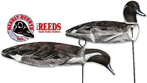 Deadly Decoys Hunter Pak Pintail HP-PIN-1