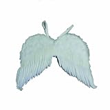 Feather Wings-24''