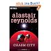 Chasm City: Roman