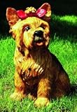 Eigenschaften Otto Müller  / Figur Yorkshire Terrier, groß, 37cm groß mit Bewegungsmelder