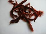 Pine Squirrel Zonkers Crawdad Orange