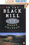 On the Black Hill: A Novel