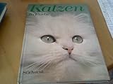 Produkt-Bild: Katzen in Farbe
