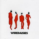 Wire Daisies (Thai)