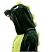 Lath.pin Unisex Costume Animal Cosplay Onesie Adult Pajamas Anime Cartoon Sleepwear (Xl, Dinosaur)