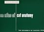 An Atlas of Cat Anatomy