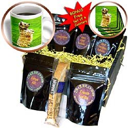 Dogs Cairn Terrier - Cairn Terrier - Coffee Gift Baskets - Coffee Gift Basket by 3dRose LLC