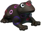 Present Time Bud Loops Frog, Medium