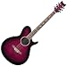 Daisy Rock WildWood Artist Deluxe Acoustic-Electric Royal Purple Burst Guitar