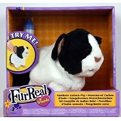Hasbro FurReal Friends Neugeborenes Meerschweinchen