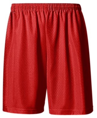 Men's Active Mesh Shorts
