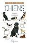 Chiens - nouvelle pr�sentation