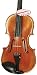 MAGGINNI PROFESSIONAL VIOLIN 4/4