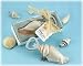 Sea Shell Bottle Opener with Thank You Tag
