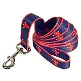 Sporty K9 Boston Red Sox Pet Leash - Navy 1 Inch