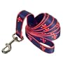 Sporty K9 Boston Red Sox Pet Leash - Navy 1 Inch