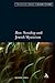 Ben: Sonship and Jewish Mysticism (The Robert and Arlene Kogod Library of Judaic Studies)