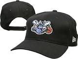 Charlotte Hornets Black Hat by New Era
