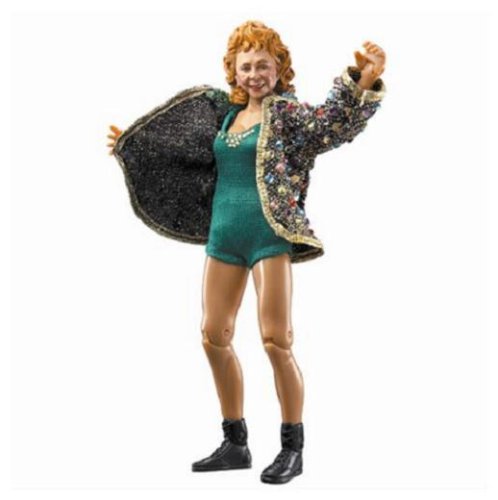 Childrens Toyshop  Toys : Jakks WWE Classic Superstars Series 11 Fabulous Moolah