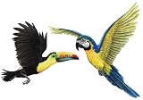 Walls of the Wild Tropical Birds Combo Pack