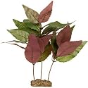 PETCO Silk Colorta Midground Aquarium Plant