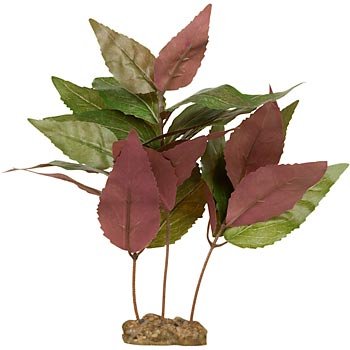 PETCO Silk Colorta Midground Aquarium Plant