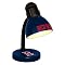 Boston Red Sox Dorm Desk Lamp - 14.5Hx6W