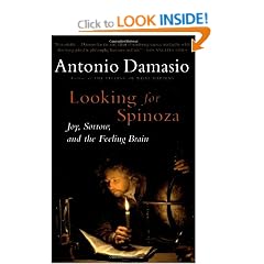 Looking for Spinoza: Joy, Sorrow, and the Feeling Brain