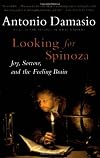 Looking for Spinoza
