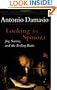 Looking for Spinoza: Joy, Sorrow, and the Feeling Brain