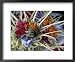 Flowers and Palm Ornaments, Offerings for Hindu Gods at Temple Ceremonies, Bali, Indonesia Religion & Philosophy Framed Art Poster Print by John & Lisa Merrill, 22x18