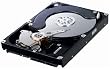 Samsung interne Festplatte HD502IJ 500 GB HDD 8,9 cm (3,5 Zoll) 16MB SATA