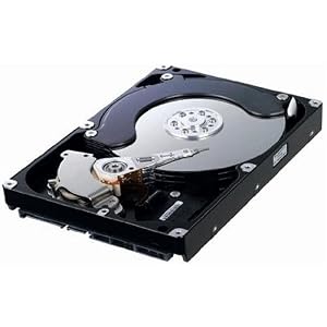 Samsung interne Festplatte HD502IJ 500 GB HDD 8,9 cm (3,5 Zoll) 16MB SATA